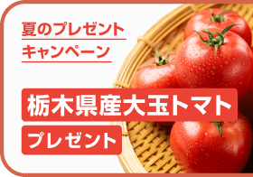 夏のプレゼントキャンペーン 栃木県産大玉トマト プレゼント バナー