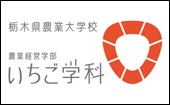 栃木県農業大学校 いちご学科 栃木県農業大学校 いちご学科
