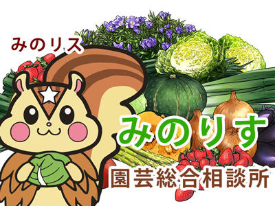 園芸総合相談所(愛称「みのりす」)