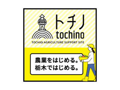 トチノ tochino