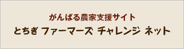 栃木いちご王国