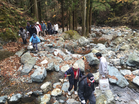 荒井川 源流「大滝」 ハイキング