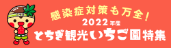 観光いちご園特集