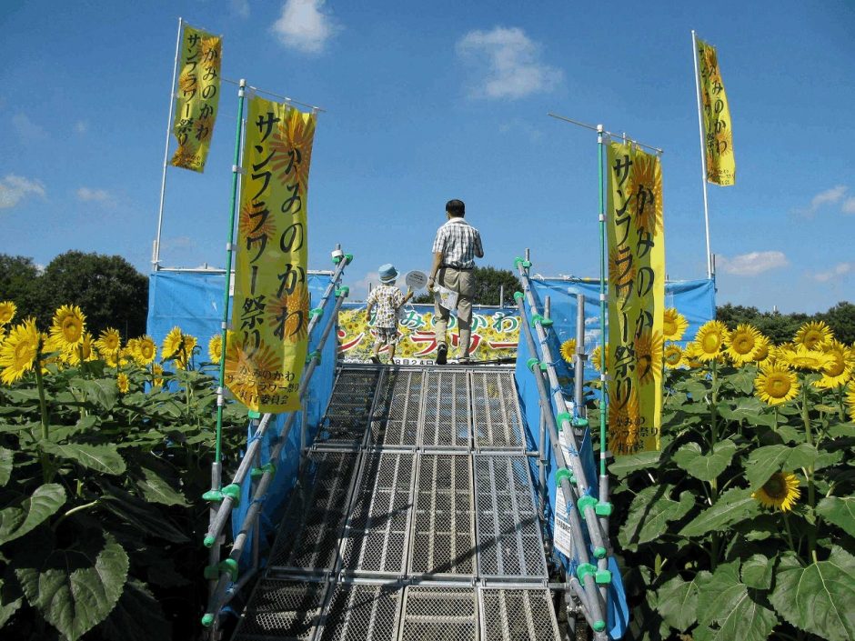 かみのかわサンフラワー祭り