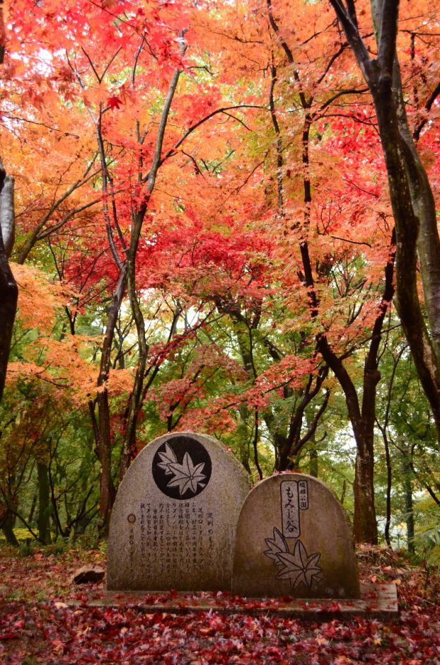 織姫公園　もみじ谷