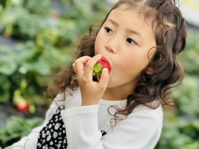 道の駅ましこ