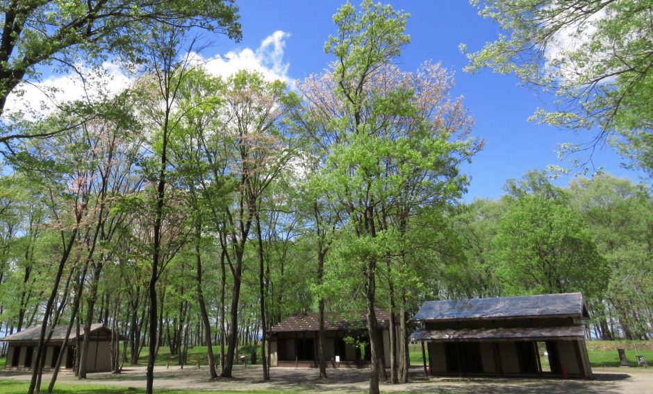 飛山城史跡公園／とびやま歴史体験館