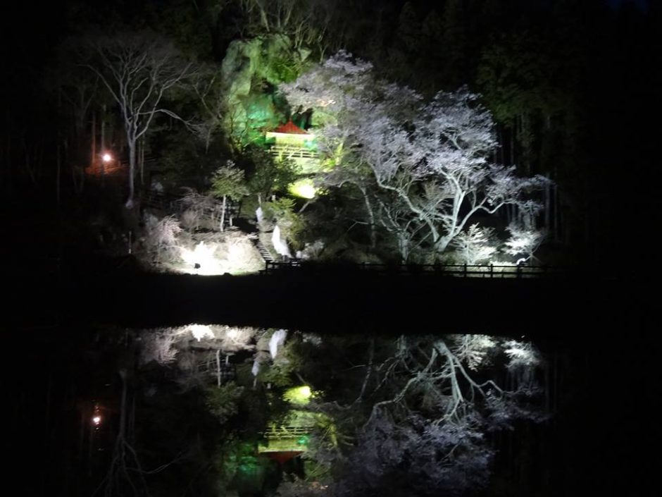 堂の下の岩観音の菜の花畑