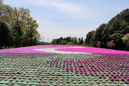 若の原農村公園