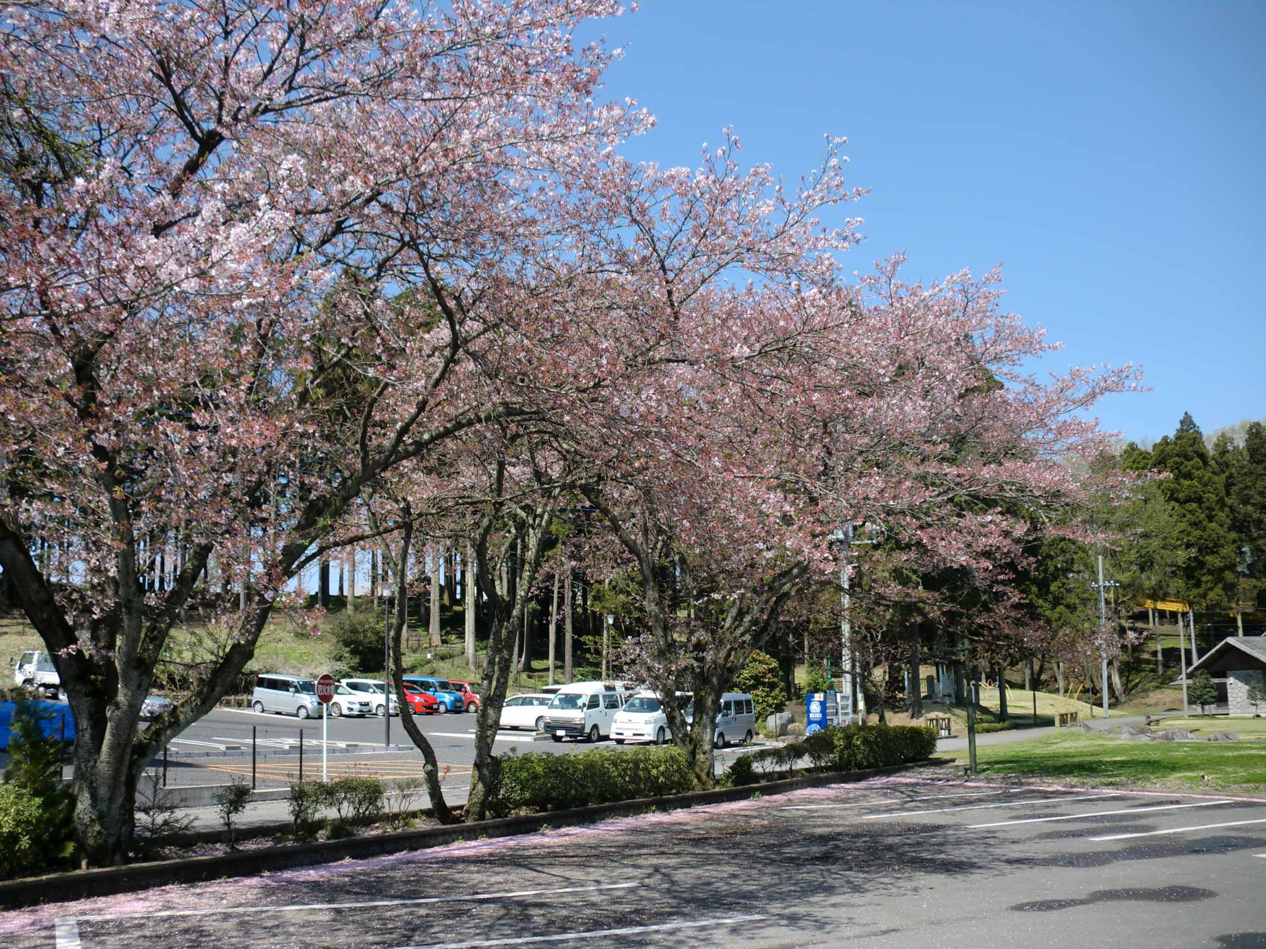 唐桶宗山公園