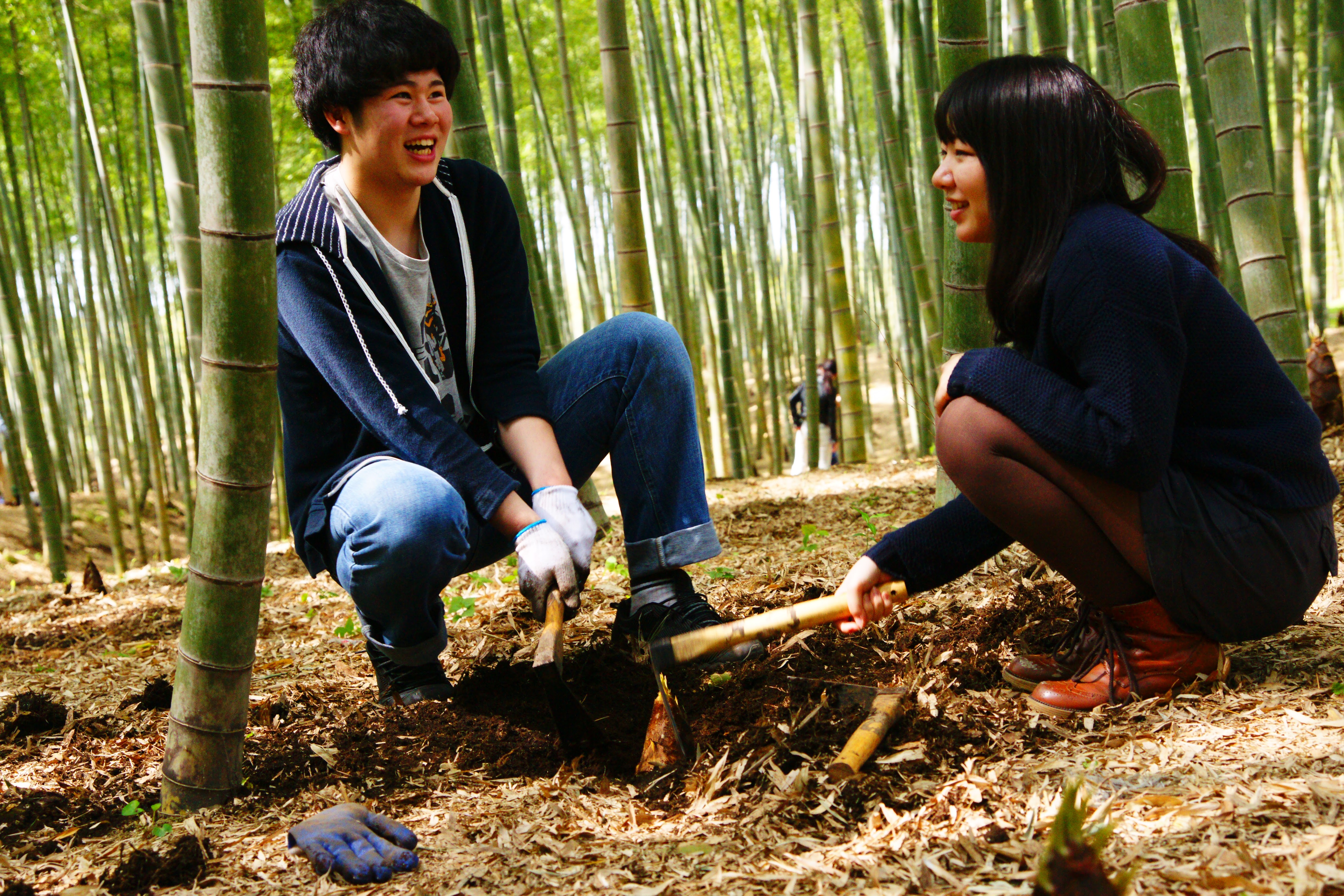 若竹の杜 若山農場