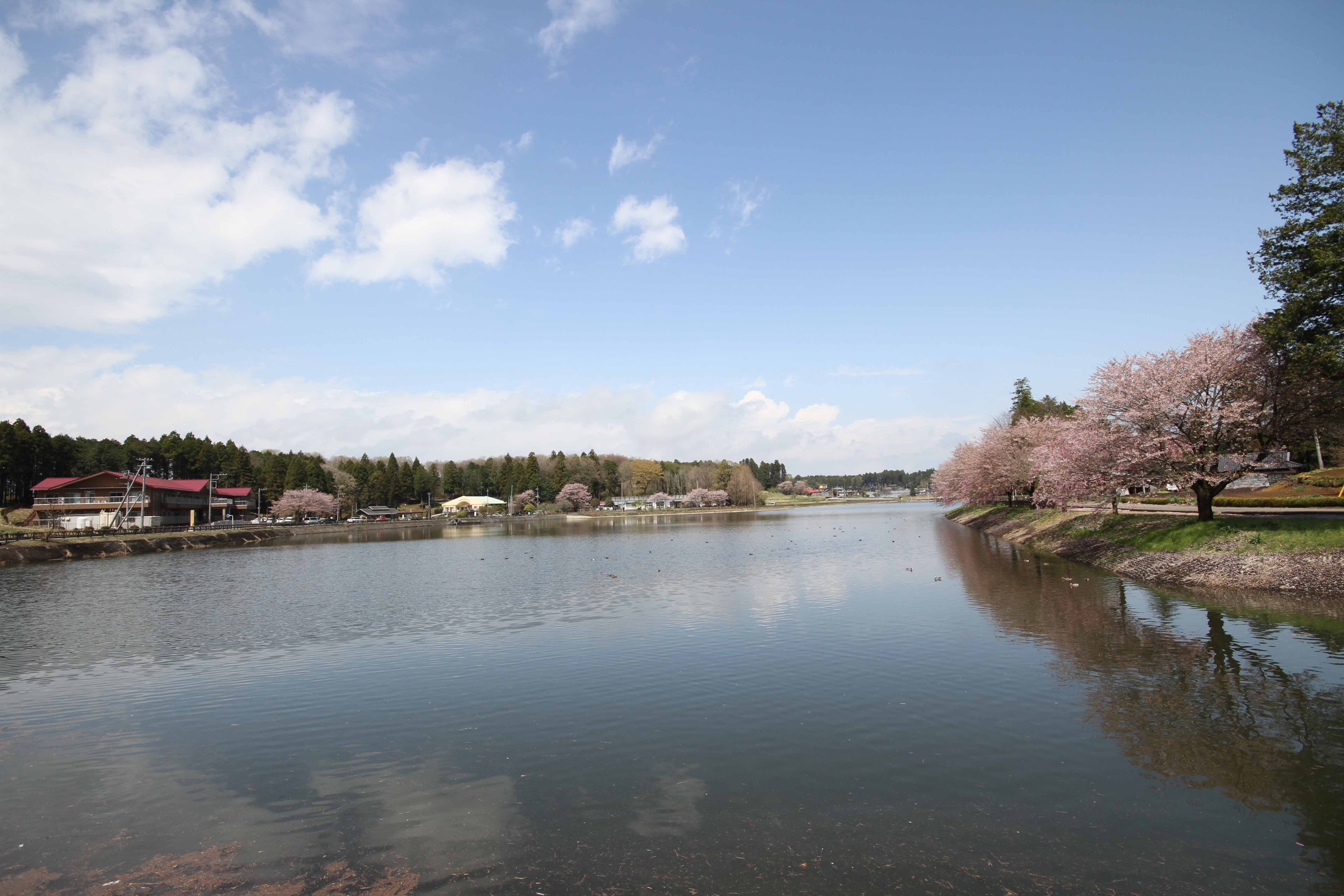 唐桶宗山公園