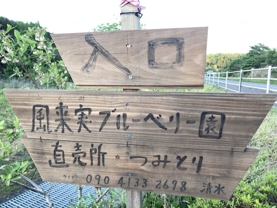 風来実（ふくみ）ブルーベリー園