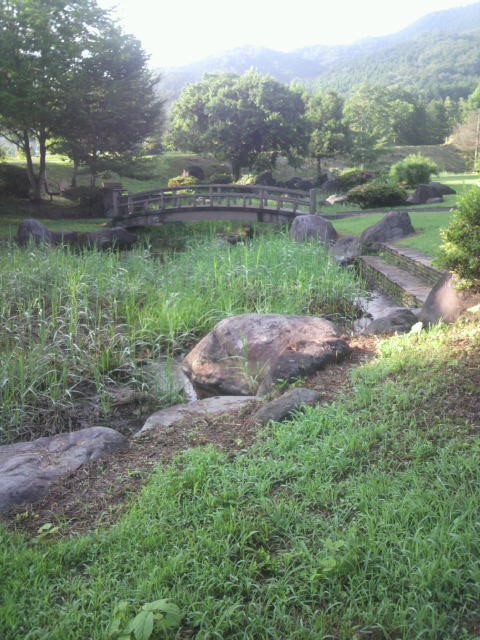 塩谷町総合公園のホタル