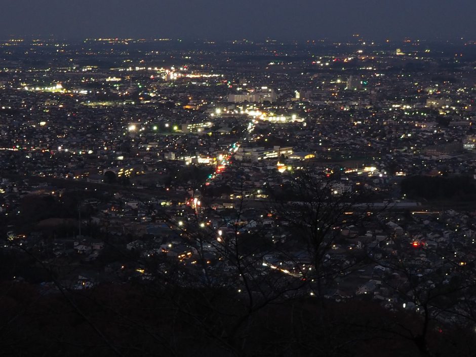 太平山の夜景