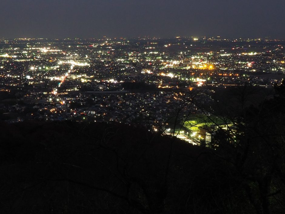 太平山の夜景