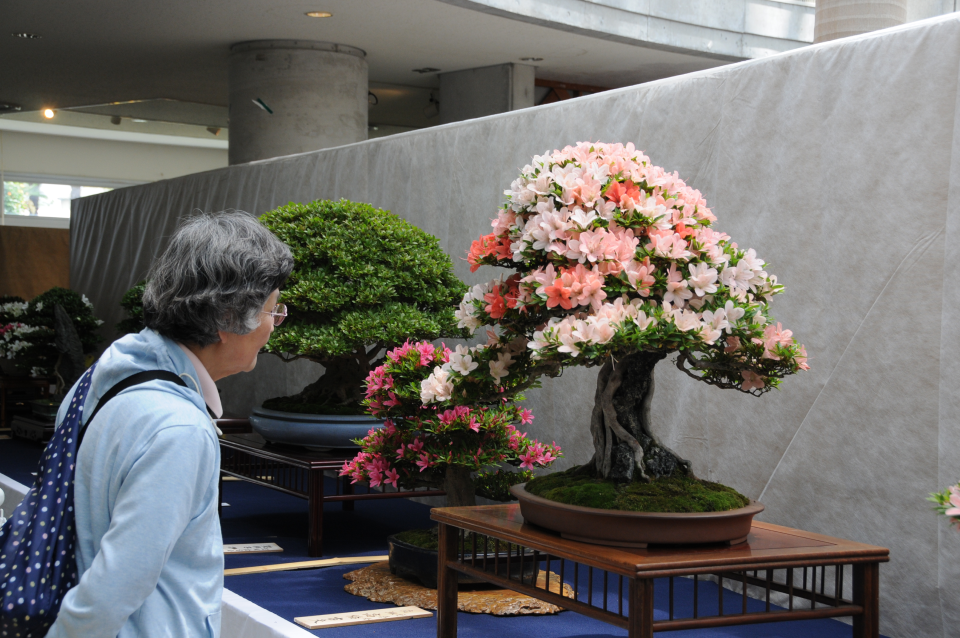 第２５回宇都宮さつき 花フェア とちぎの農村めぐり特集 栃木県農政部農村振興課