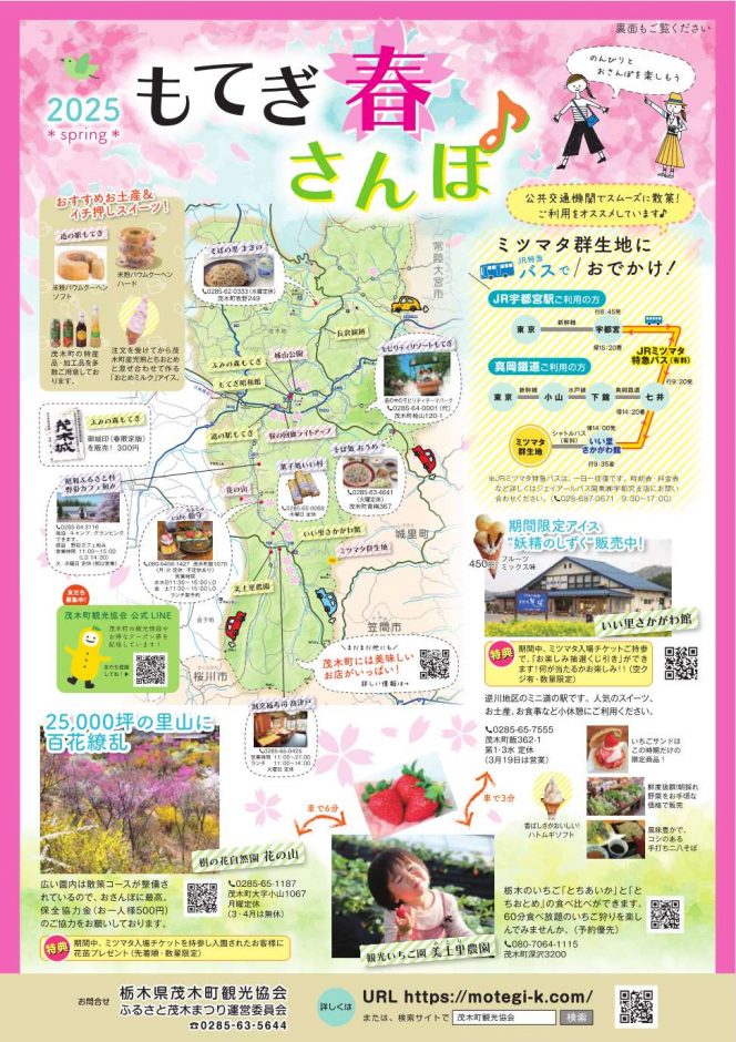 焼森山ミツマタ群生地