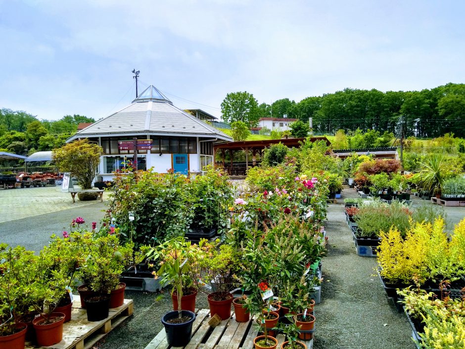 鹿沼市花木センター