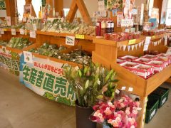 道の駅みぶ　みぶハイウェーパークみらい館