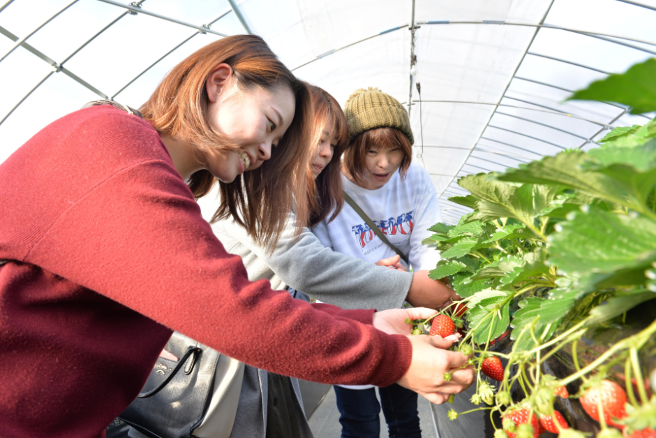 鹿沼市花木センター観光いちご園ベリーちゃんハウス とちぎの農村めぐり特集 栃木県農政部農村振興課