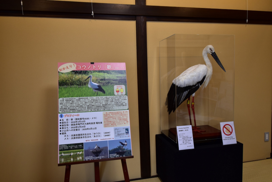 渡良瀬遊水地コウノトリ交流館