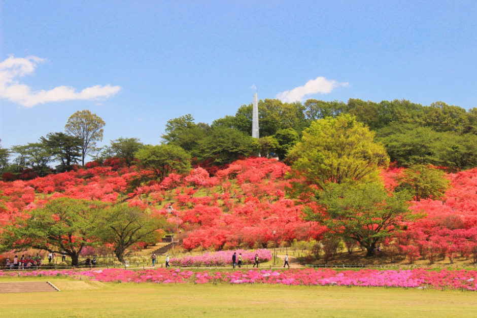 長峰公園