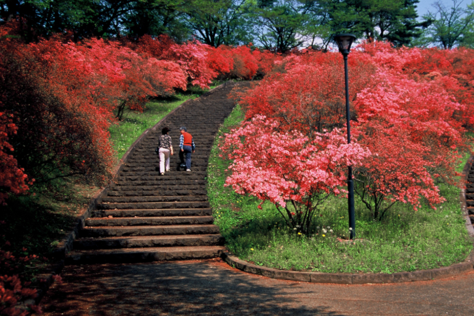 長峰公園