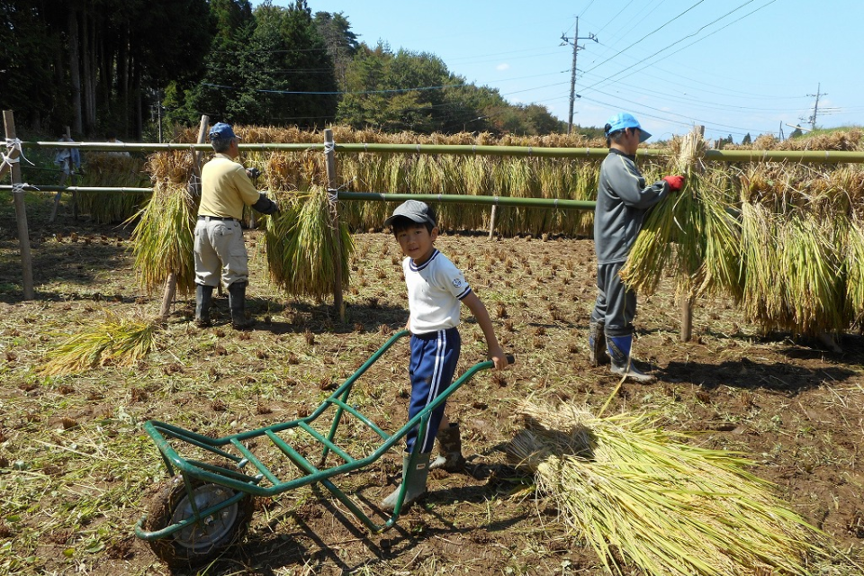 小砂里山農業体験『棚田オーナークラブ』 | とちぎの農村めぐり特集
