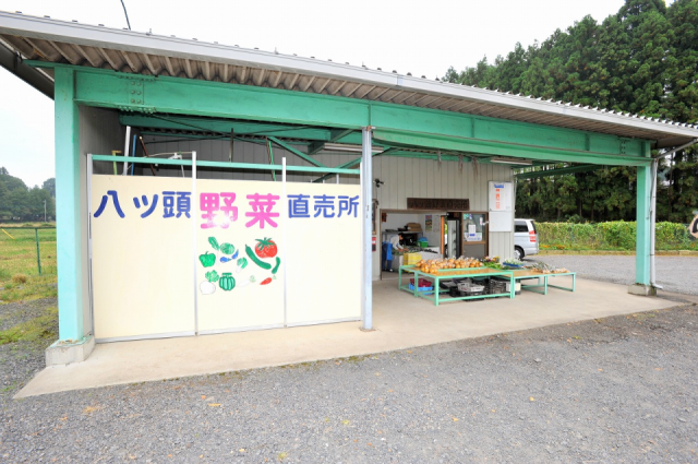 八ツ頭野菜直売所