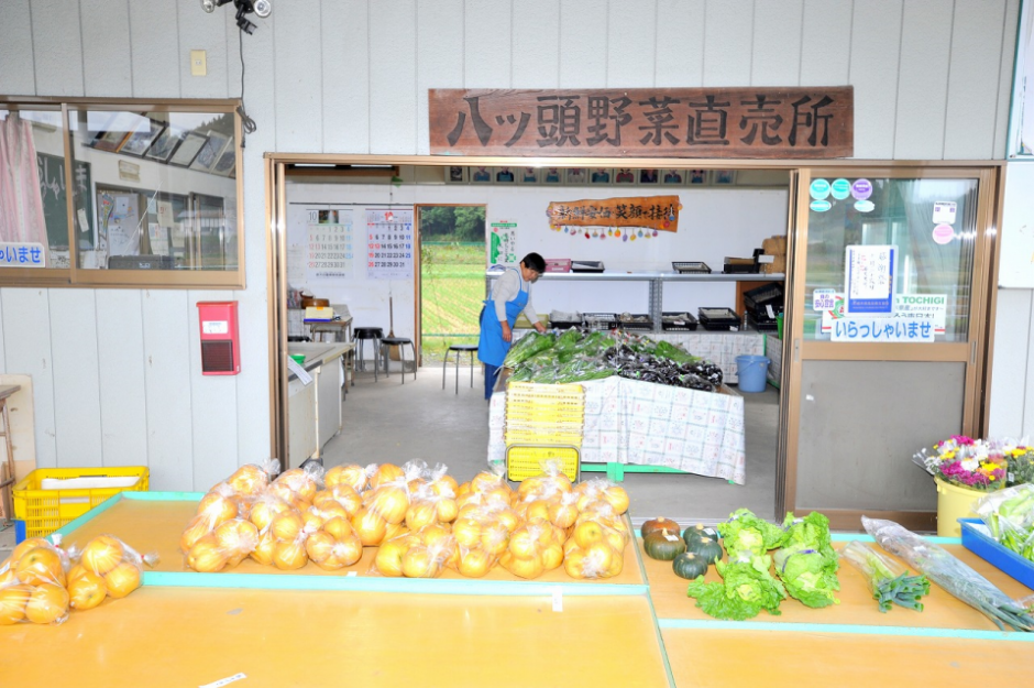 八ツ頭野菜直売所