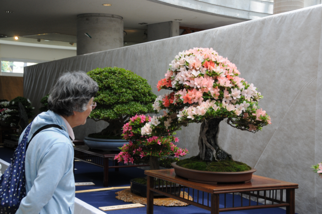 第２５回宇都宮さつき＆花フェア