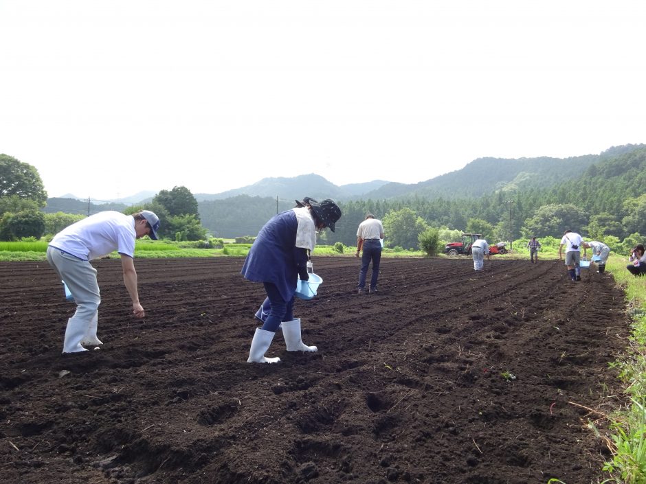 岩崎そば生産組合