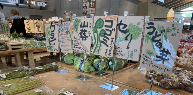 道の駅ましこで感じる山と土、そして春🍃🌸