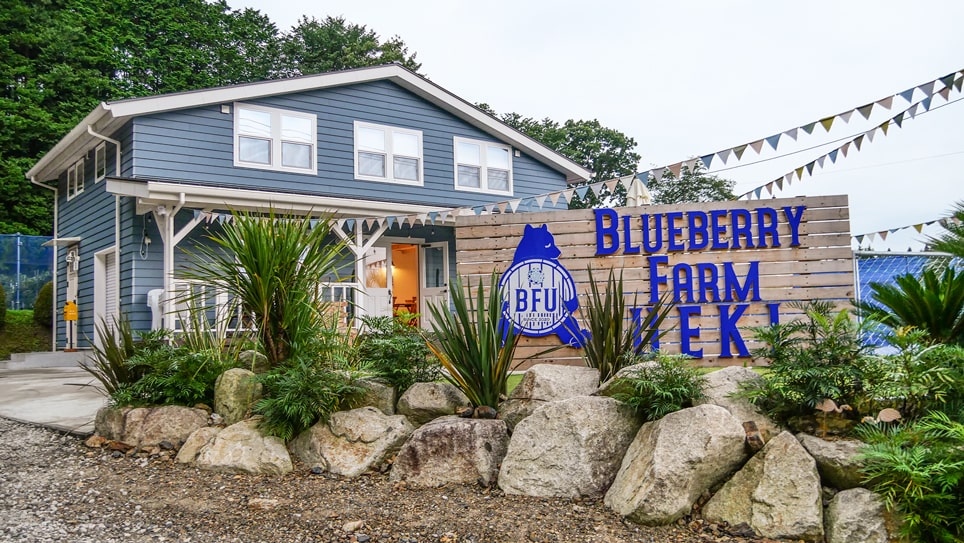 観光農園特集 大粒ブルーベリーをお腹いっぱい召し上がれ Blueberry Farm Ueki とちぎの農村めぐり特集 栃木県農政部農村振興課 観光農園特集 大粒ブルーベリーをお腹いっぱい召し上がれ Blueberry Farm Ueki とちぎの農村めぐり特集 栃木県農政部農村振興課