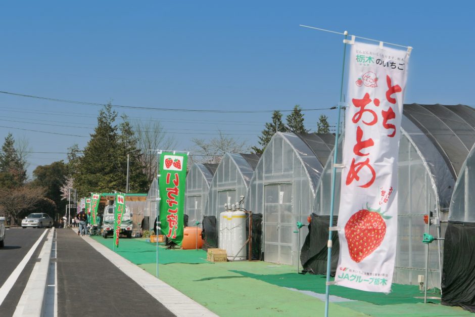 真岡市農産物販売交流施設いがしら（あぐ里っ娘）