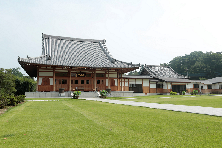 満福寺の桜