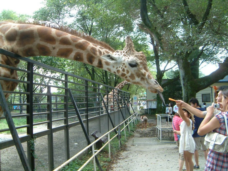 宇都宮動物園