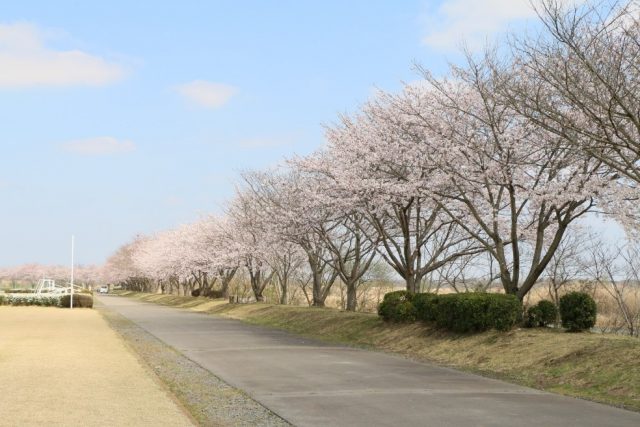 桃畑緑地公園