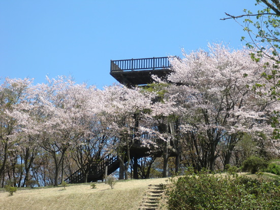 冨士山自然公園