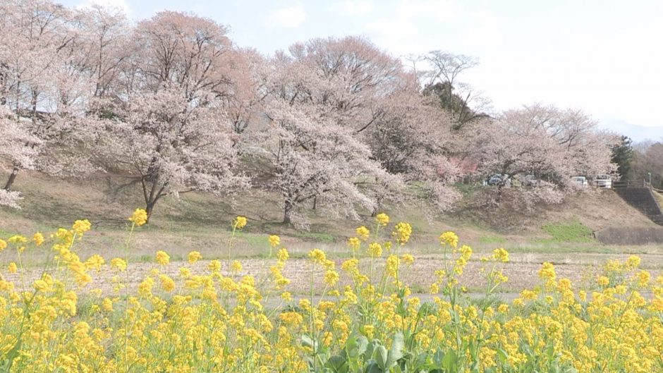 冨士山自然公園