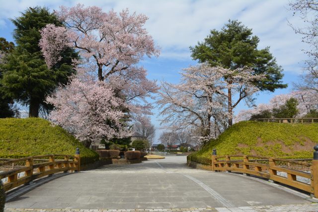 壬生町　Instagramフォトコンテスト