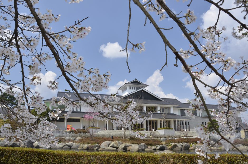 道の駅たかねざわ元気あっぷむら　桜