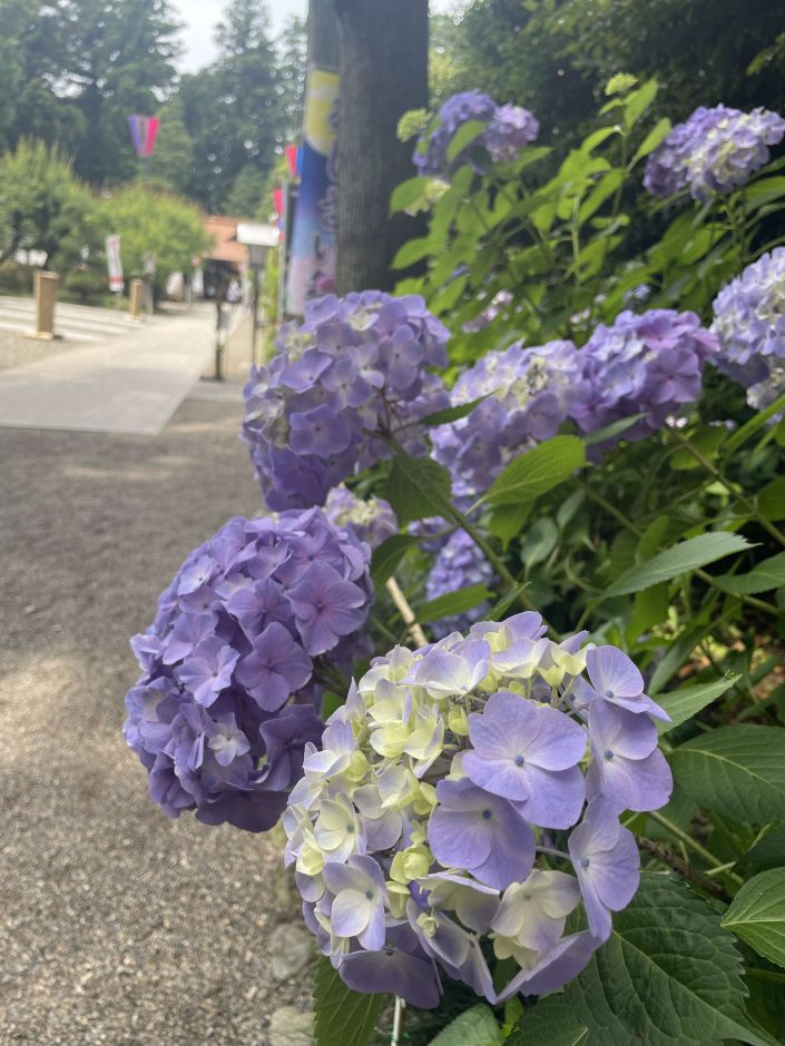 芳賀　天満宮