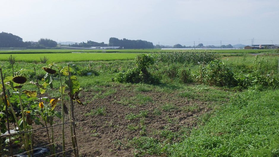 まほろば農園