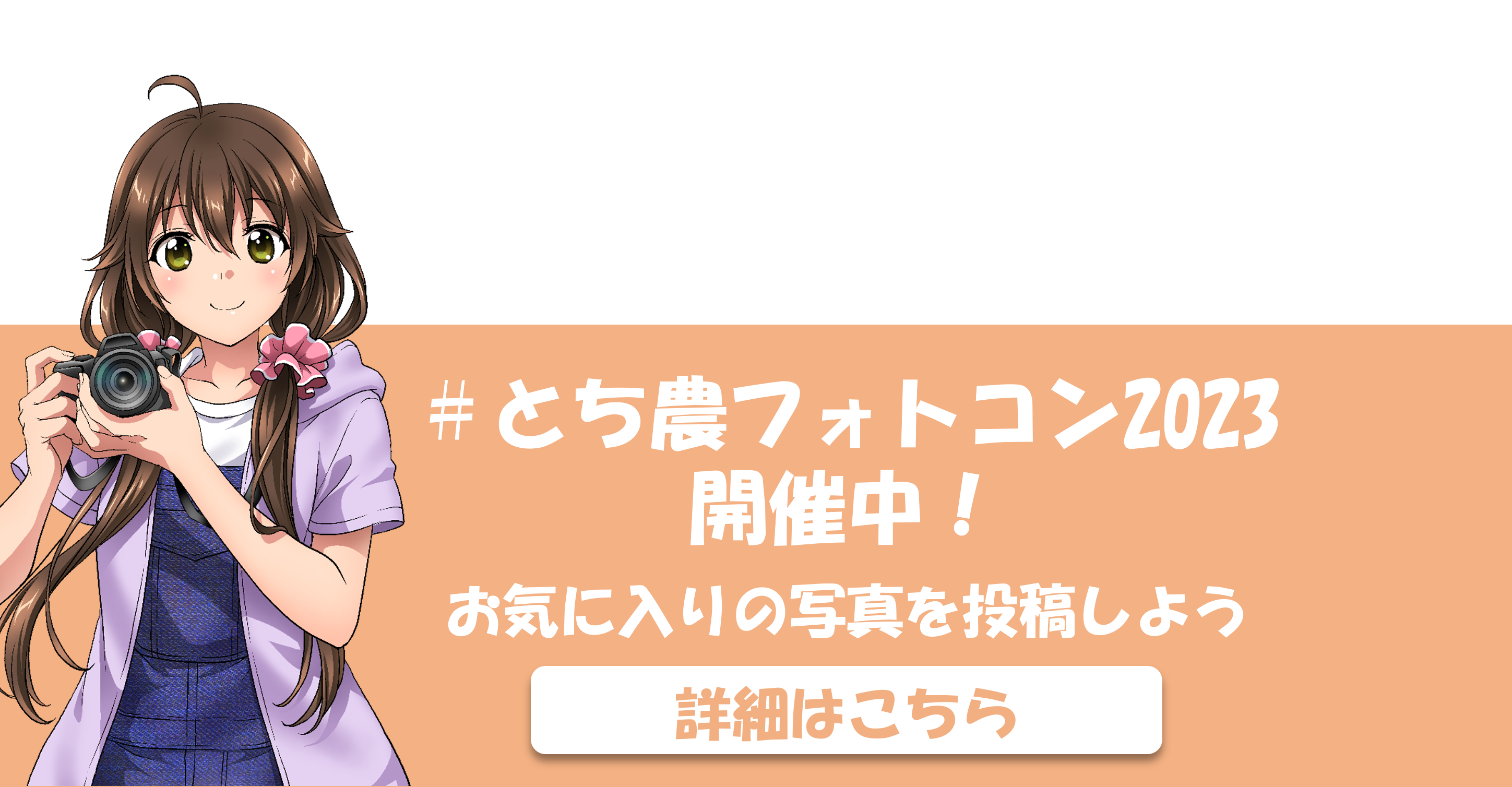 フォトコン