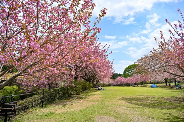 天平の丘公園