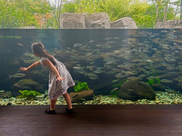 栃木県なかがわ水遊園