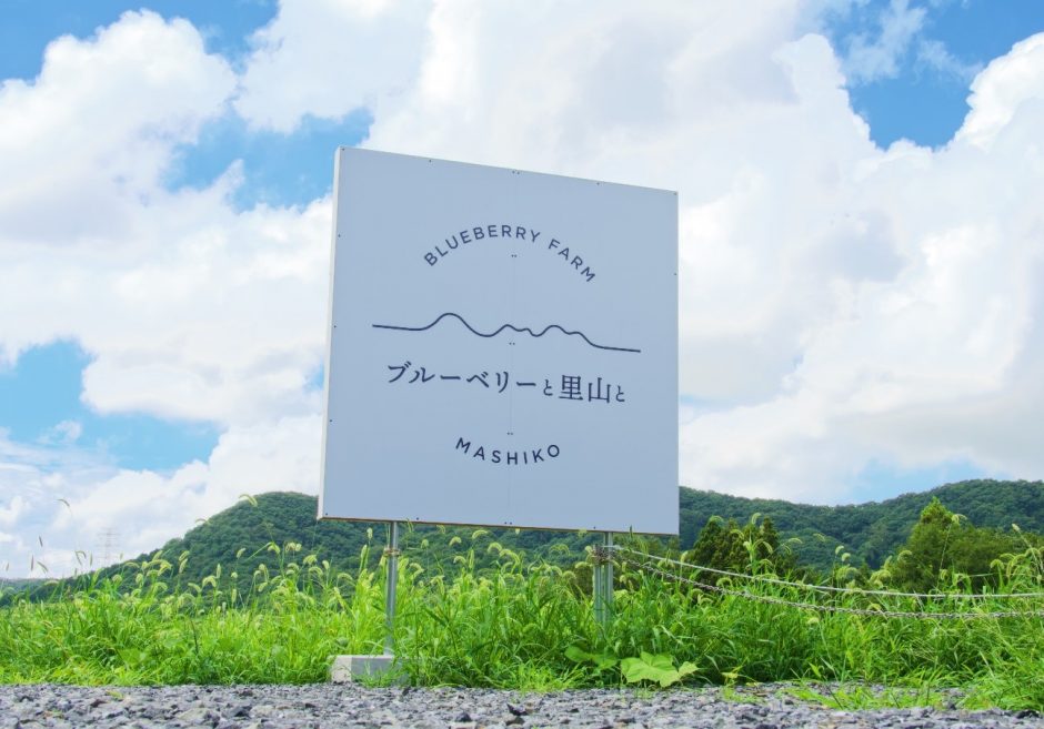 ブルーベリーと里山と