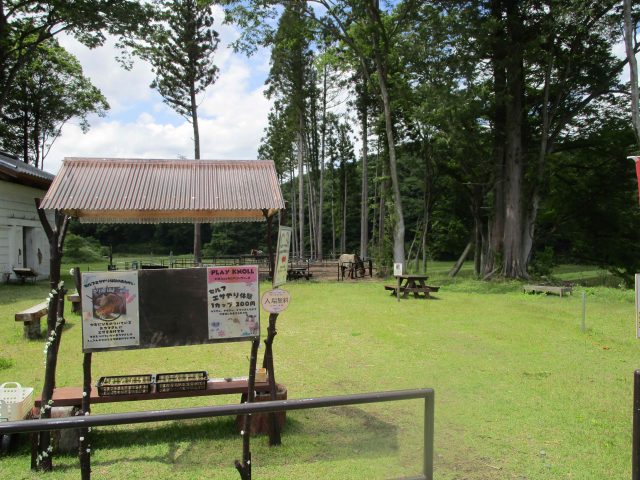 play knoll（プレイノール）